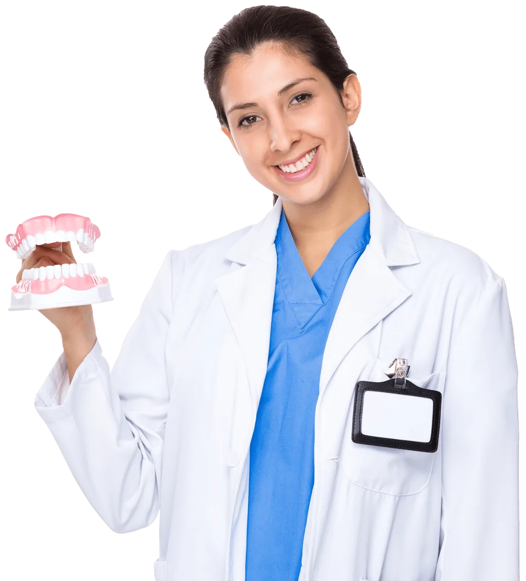 Dentysta z modelem protez zębowych w ręku